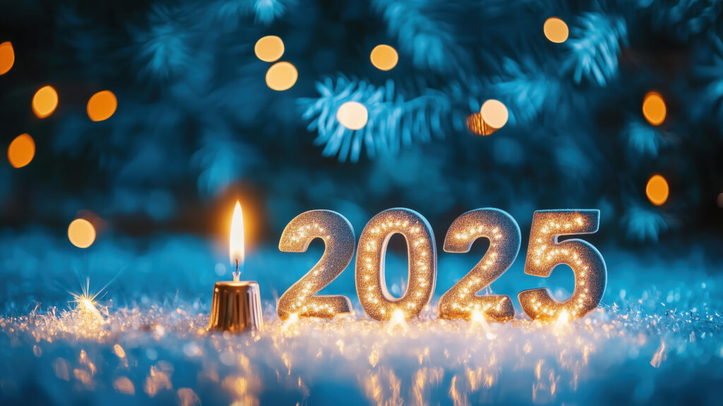 Wishing Dinar Detectives Family a very Happy New Year 2025!
