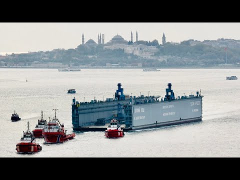 MarkZ LIVE