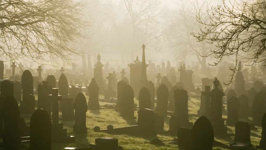Here’s why ‘dead’ investors outperform the living