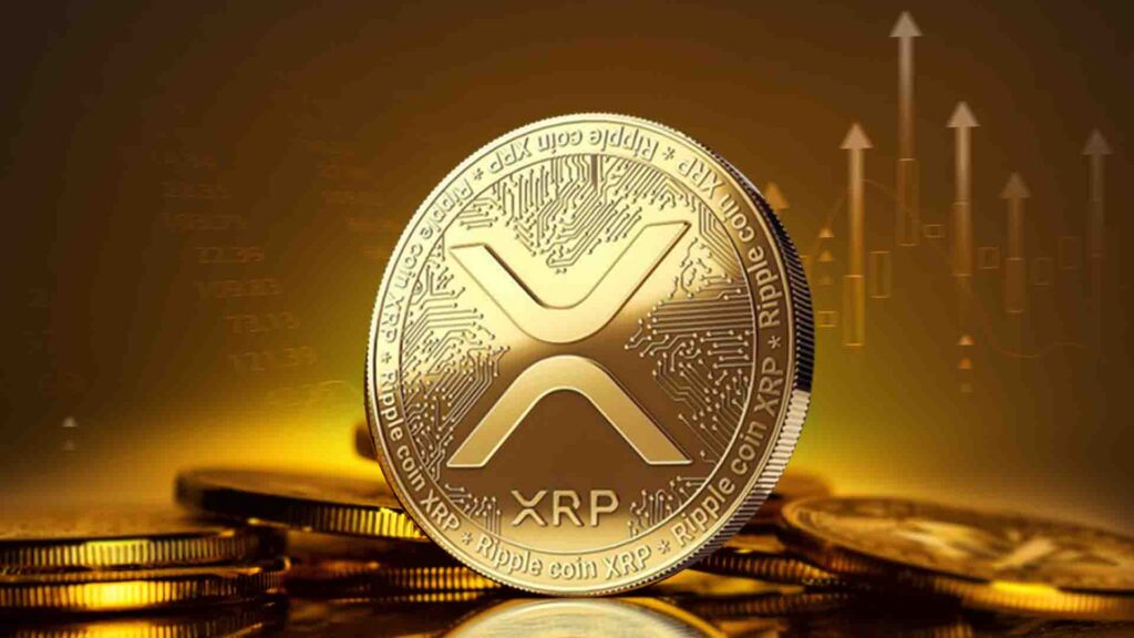 What Drives XRP’s Value?