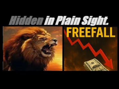 FREEFALL ECONOMIC POLICY? (Its Not What You Think). FULL-BREAKDOWN. Mannarino