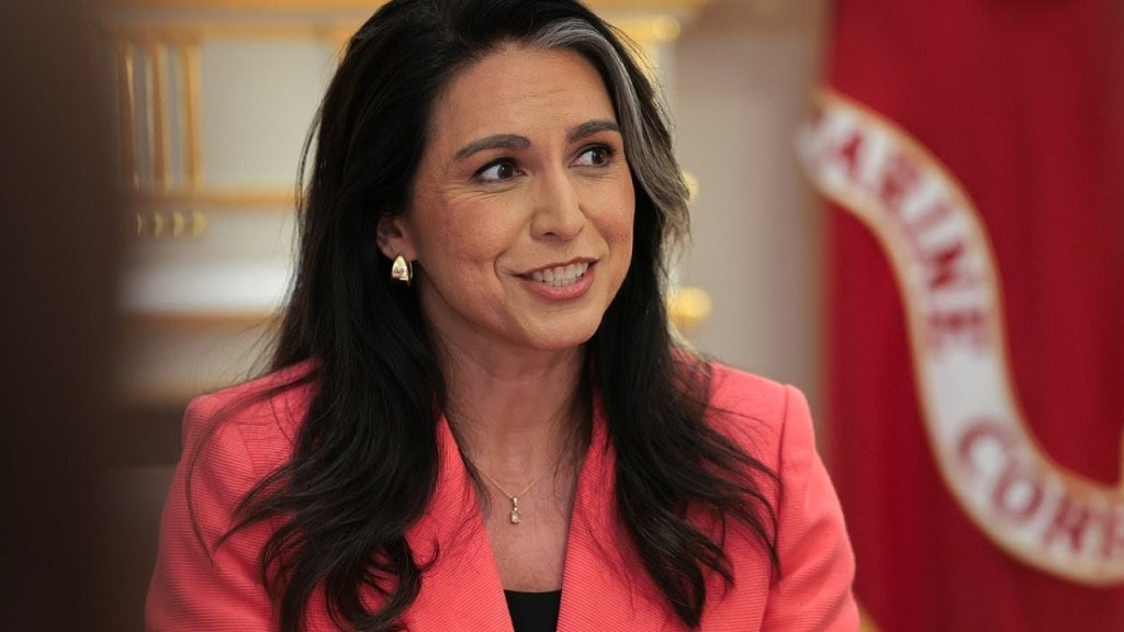 Can Tulsi Defeat The Deep State?
