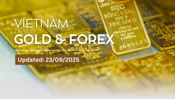 Domestic and global gold prices simultaneously hit new record highs