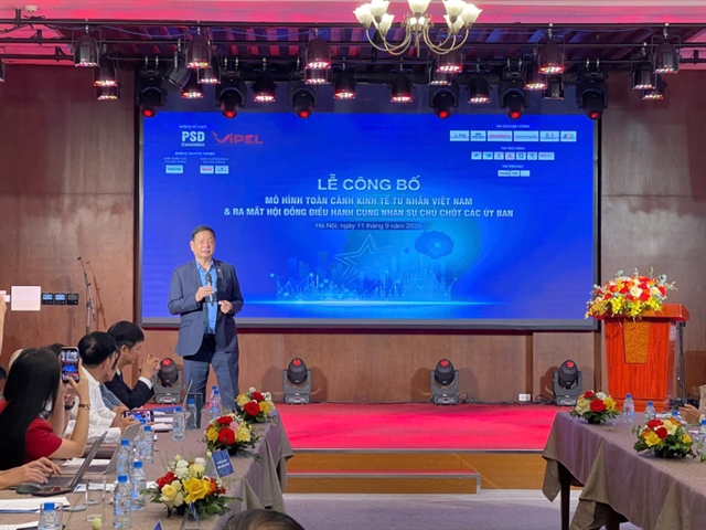 'Vietnam Private Sector Panorama' model makes debut in Hà Nội