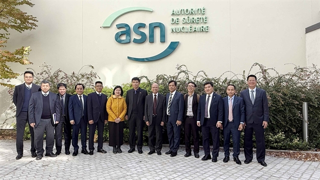 Việt Nam learns France's experience in nuclear power plant construction