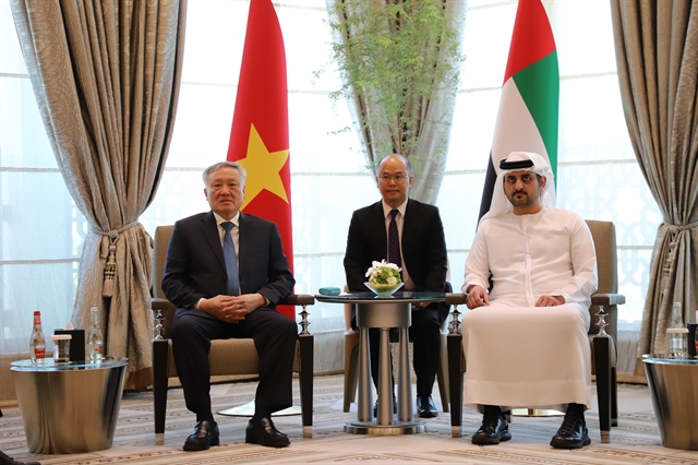 Permanent Deputy PM meets with UAE officials, business representatives