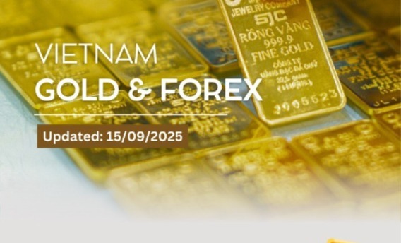 Infographic: Gold ring prices continue to slightly decline on September 15