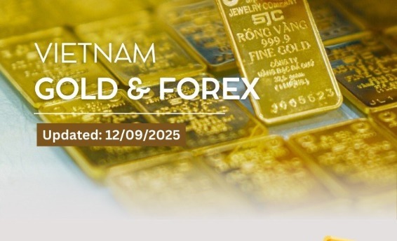 Infographic: SJC gold bar price decreases by 3.9 million VND/tael