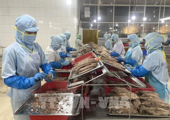 Viet Nam eyes EU as key destination for agro-forestry-fishery exports