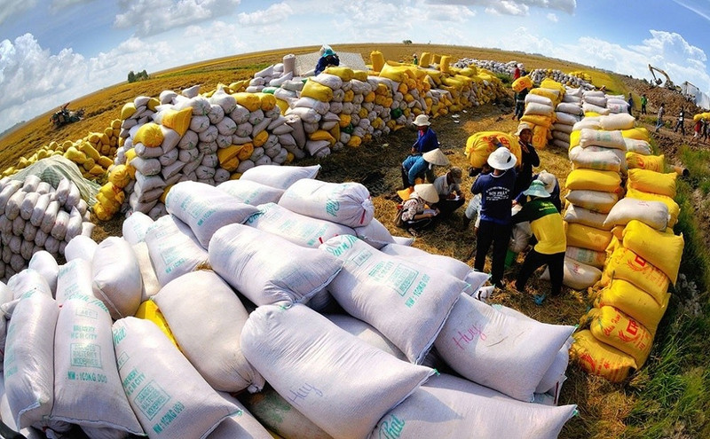 PM directs stronger measures to boost rice production, export