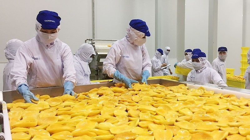 Application of green technology to enhance competitiveness of Viet Nam’s agricultural products