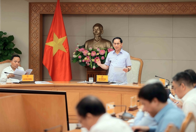 Energy development plays key role in national growth: Deputy PM