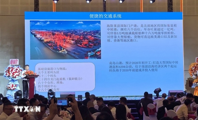 Việt Nam – China friendship exchange fortifies business ties in Hải Phòng