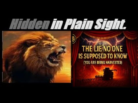 The Diabolic Wealth Transfer Exposed. Mannarino