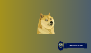 Here’s How High Dogecoin (DOGE) Could Go in December as Whale Activity Drops to 2-Month Lows