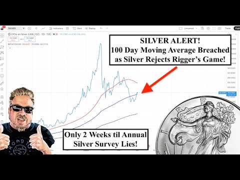 SILVER ALERT! Silver Rigger Games Failing! Silver Institute's Annual "Con Job" Survey! (Bix Weir)