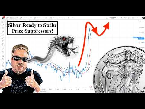 SILVER ALERT! Silver Serpent Ready to STRIKE Silver Price Suppressors! Fake Silver Survey?(Bix Weir)