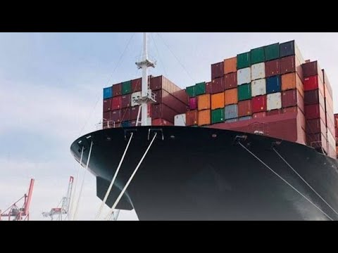 Evening News with MarkZ. 04/15/2026 🔴 LIVE