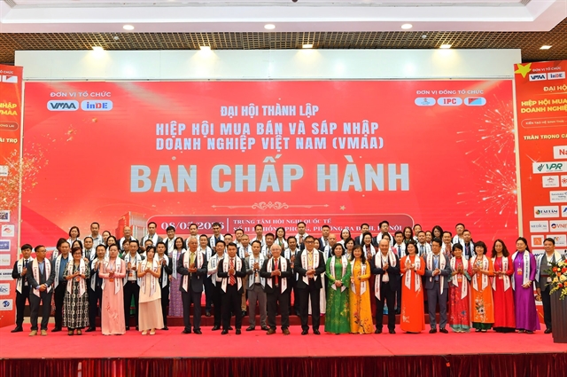 New M&A association launched as Việt Nam pushes corporate restructuring