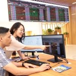 SOE equitisation urged to improve quality, attract foreign capital