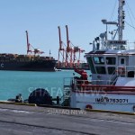 Basrah Medium crude among top OPEC gainers in May