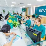 VN-Index breaches below 1,800 threshold on profit-taking pressure