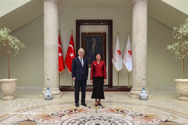 Việt Nam, Türkiye seek stronger local economic connectivity