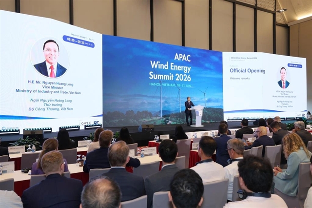 UK launches two new climate initiatives to support Việt Nam’s green transition