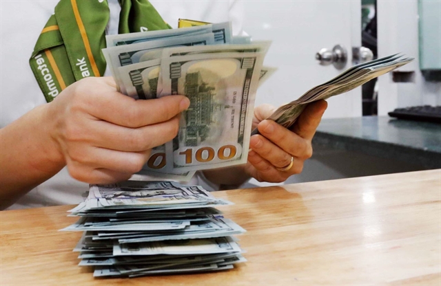 Currency holds steady despite mounting pressures