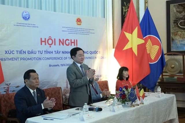 Tây Ninh seeks Belgian investment across sectors