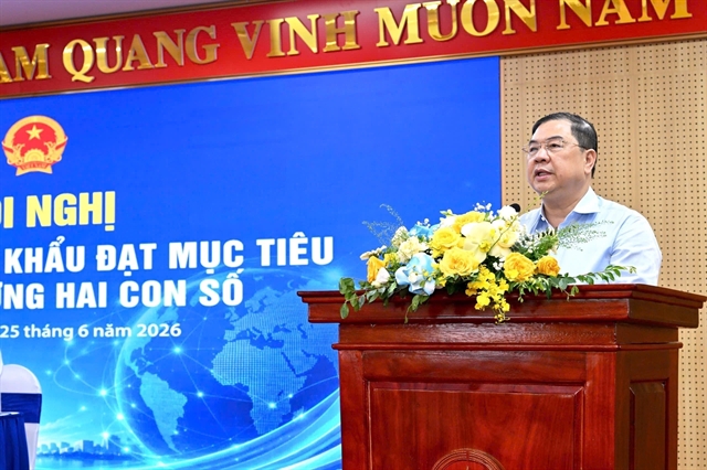 Deputy PM outlines key solutions to boost exports