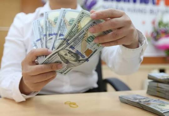 Central bank warns public over foreign exchange trading risks