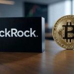 BlackRock Crypto Head Explains What Prevented Bitcoin’s Rise! Shares What Percentage of BTC Should Be Held!