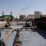 Basrah crudes surge as global oil rallies