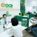 VN-Index extends gains on bank stocks