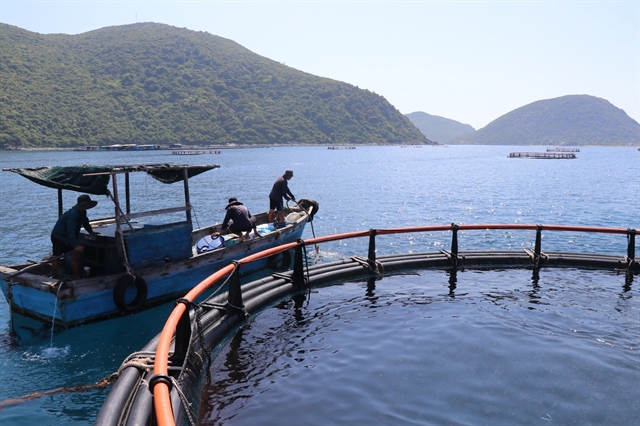 Stronger incentives drafted to unlock marine economy