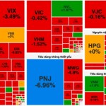 Market dips, VN-Index falls below 1,700 threshold again
