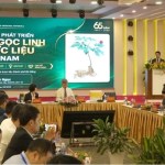 Ngọc Linh ginseng sets sights on global brand recognition