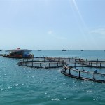 VN sets out plan to become strong maritime nation by 2030