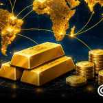 What Gold Backed Tokens Teach Us About the Future of Digital Ownership