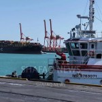 US-Iran war shock cuts 36% off Iraqi oil shipments