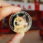 Trump declares ‘the moon is ours’, DOGE says 'there is a queue'