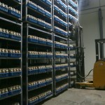 Firm entry and exits point to continued restructuring pressure