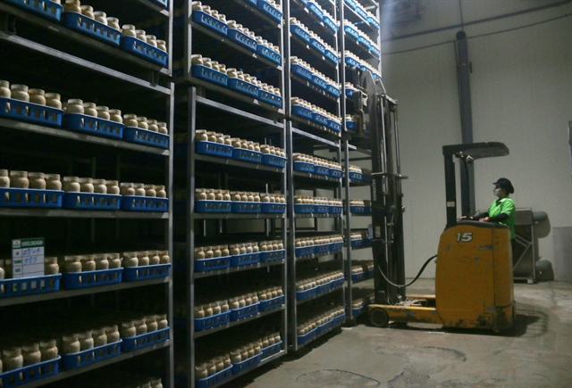 Firm entry and exits point to continued restructuring pressure