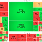 VN-Index jumps 25 points despite subdued liquidity