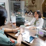 Việt Nam seeks to turn household savings into long-term investment capital
