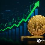 Bitcoin Hits a Breather as Big Investors Keep Accumulating BTC