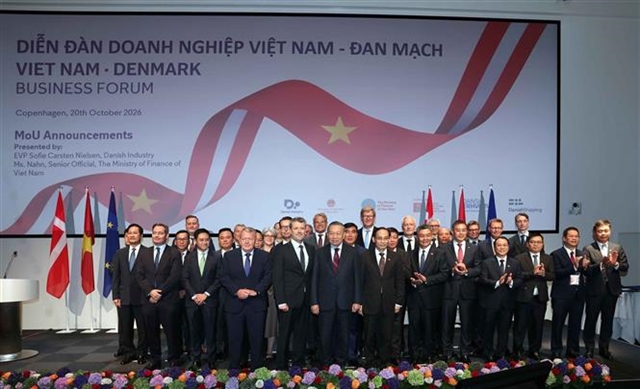 Top Vietnamese leader attends Việt Nam–Denmark Business Forum