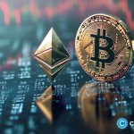 Ethereum ETFs lose more money than Bitcoin ETFs last week