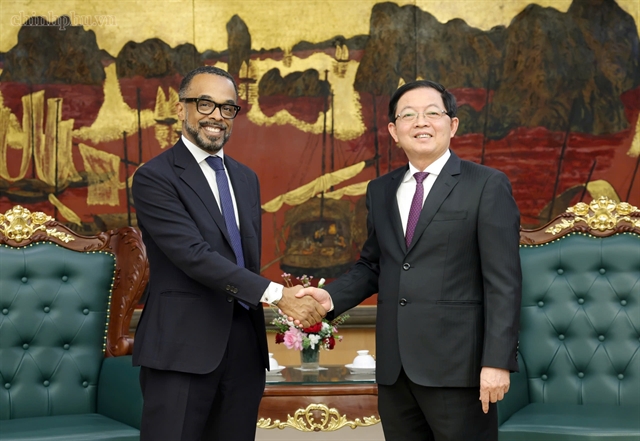 Việt Nam, Google seek closer cooperation on AI, digital economy